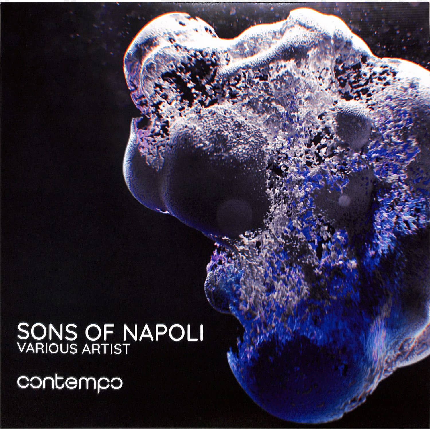 Various Artists - SONS OF NAPOLI