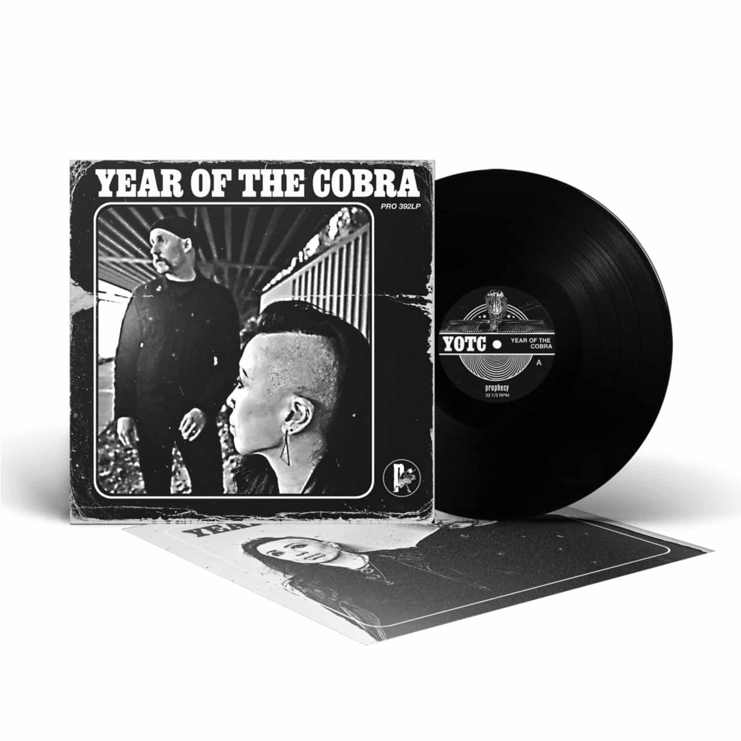 Year Of The Cobra - YEAR OF THE COBRA 