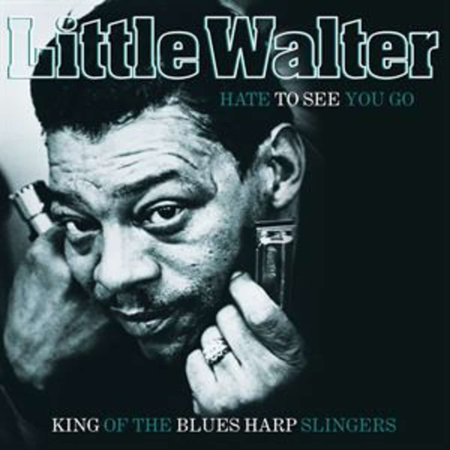Little Walter - HATE TO SEE YOU GO 