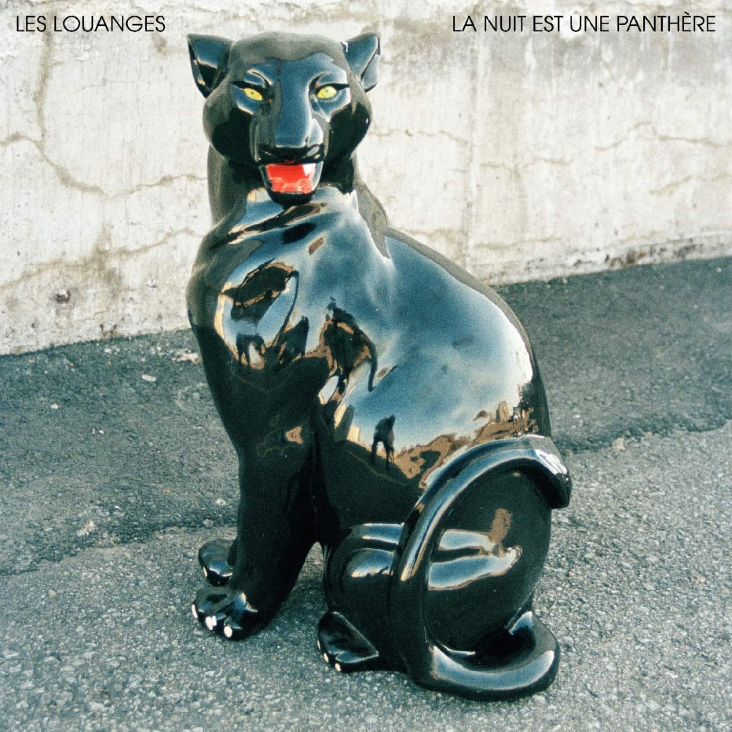 Les Louanges - LA NUIT EST UNE PANTHERE 