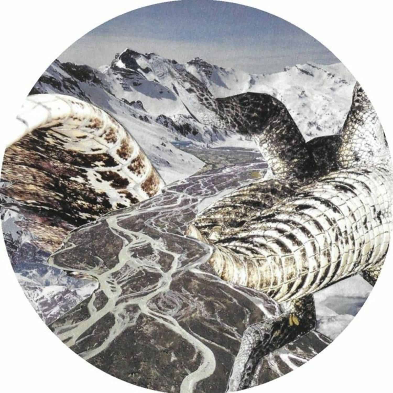 Andy Martin / Chrisitan Coiffure - ANDY MARTIN/CHRISTIAN COIFFURE SPLIT