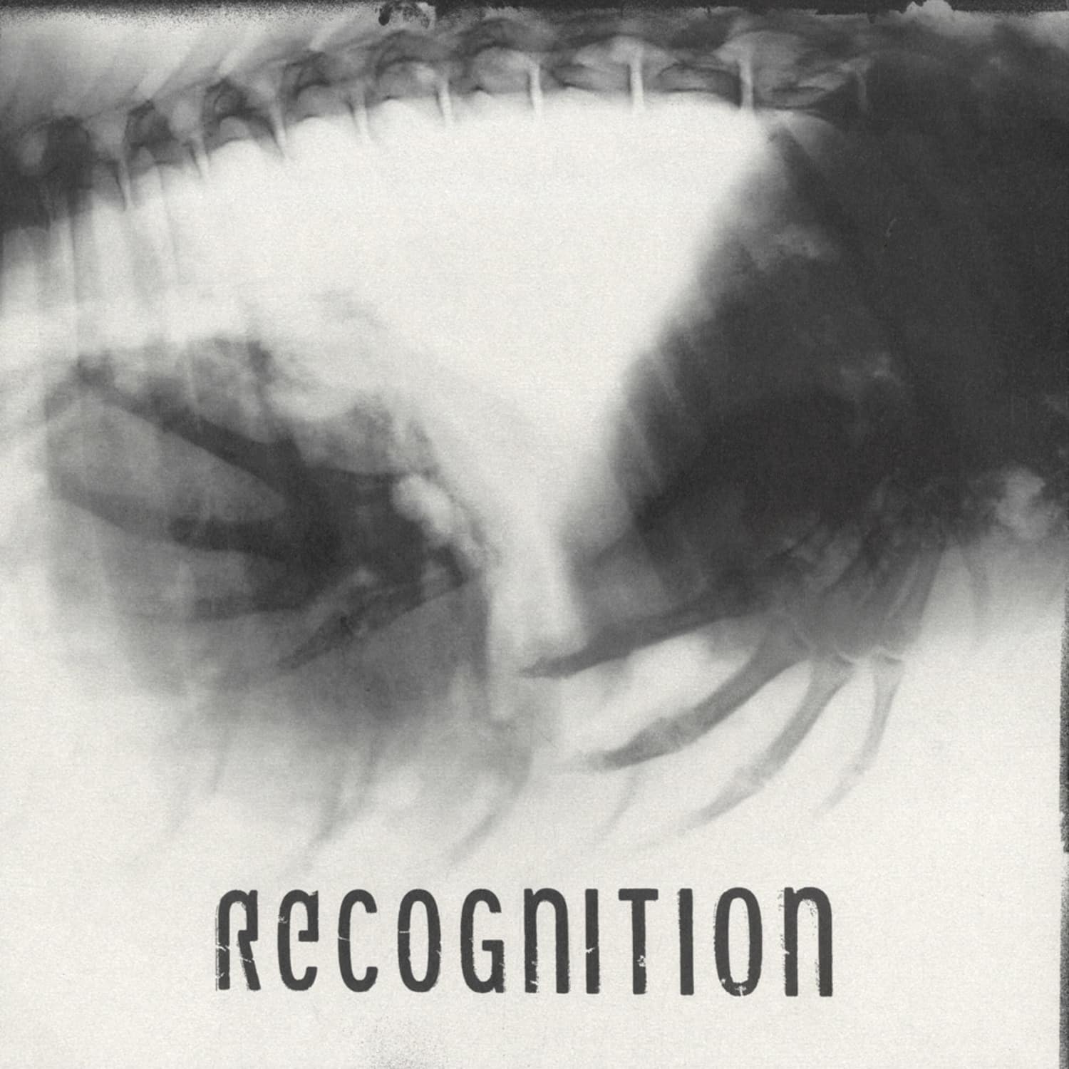 Jacek Sienkiewicz - DOUBLE SECRET LIFE