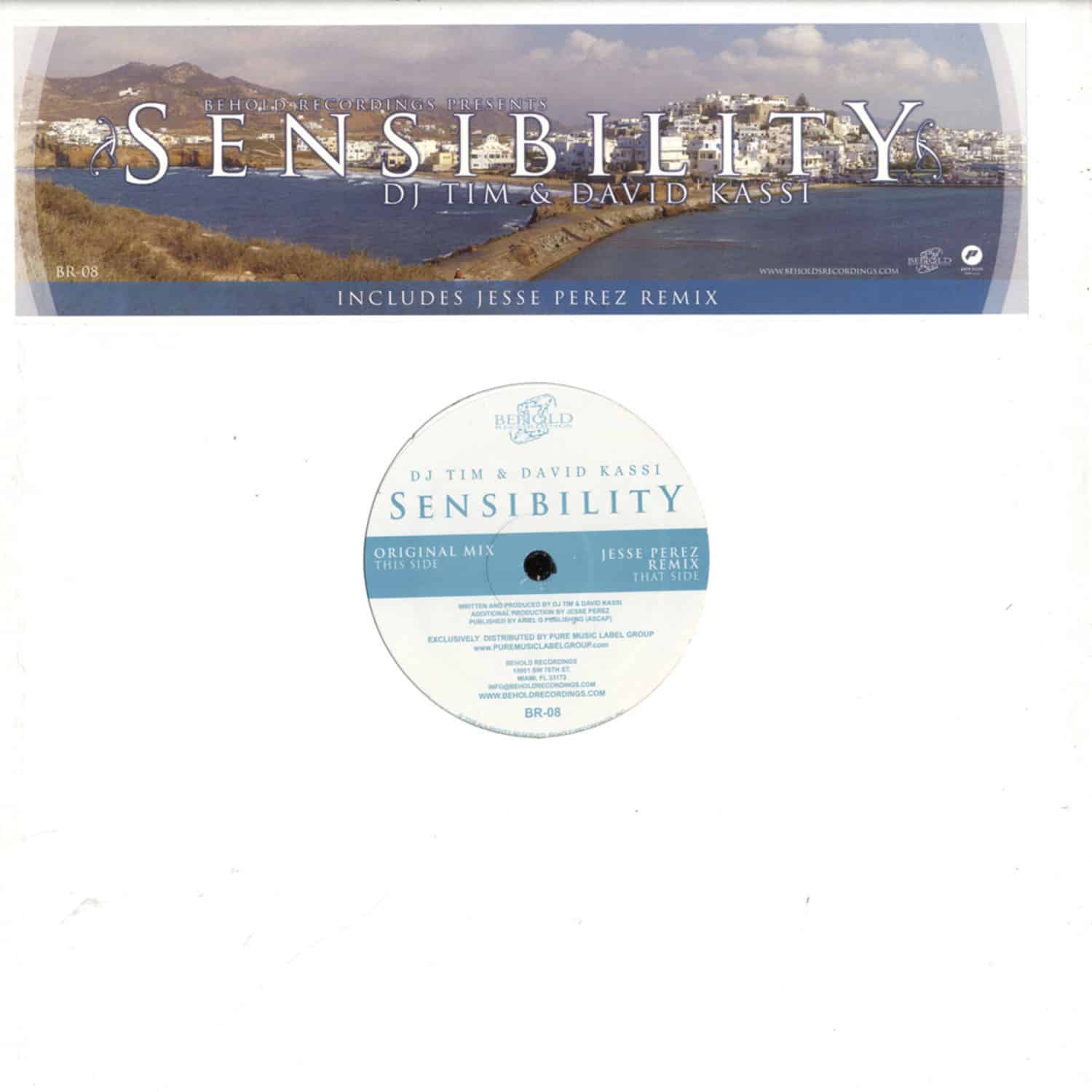 DJ Tim and David Kassi - SENSIBILITY