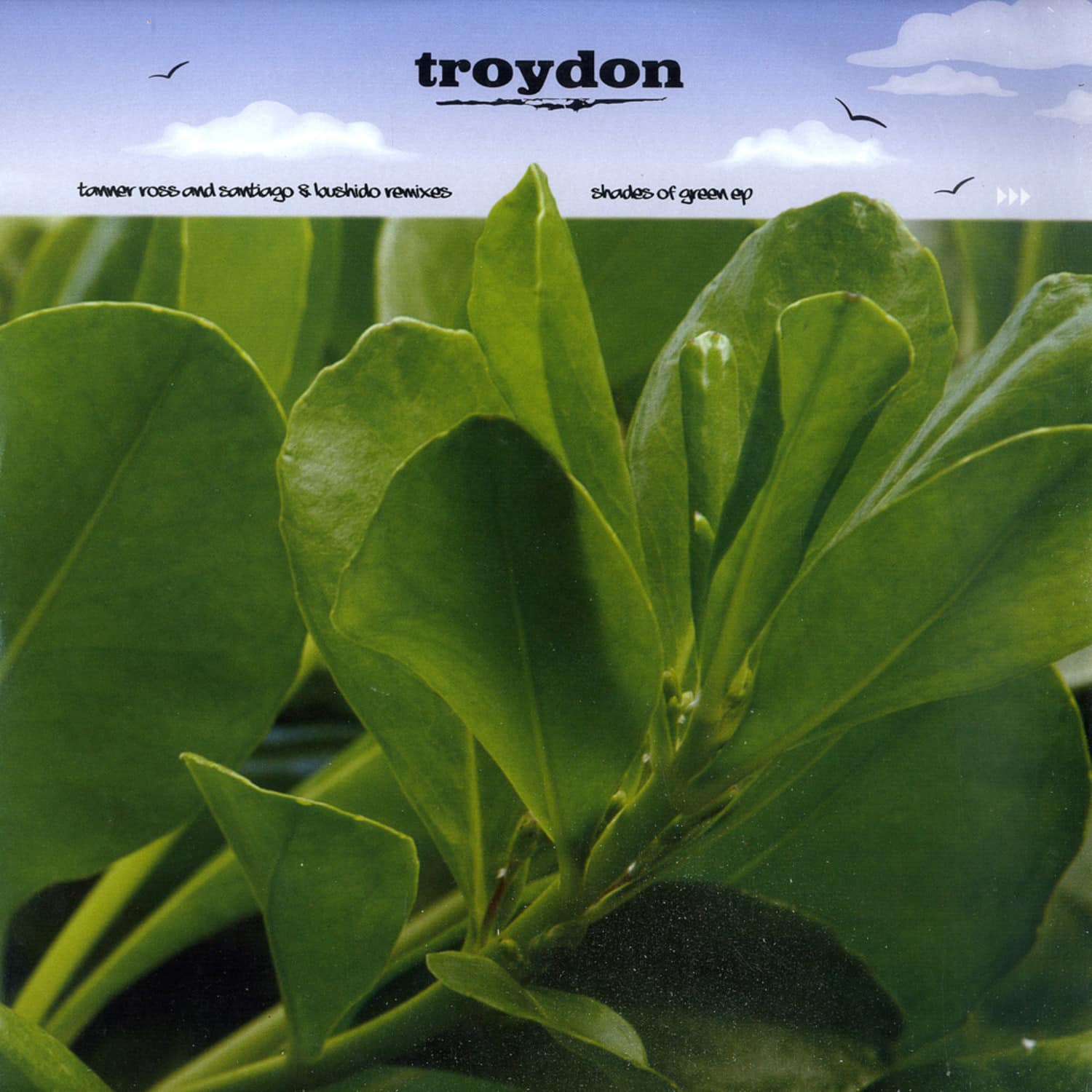 Troydon - SHADES OF GREEN EP
