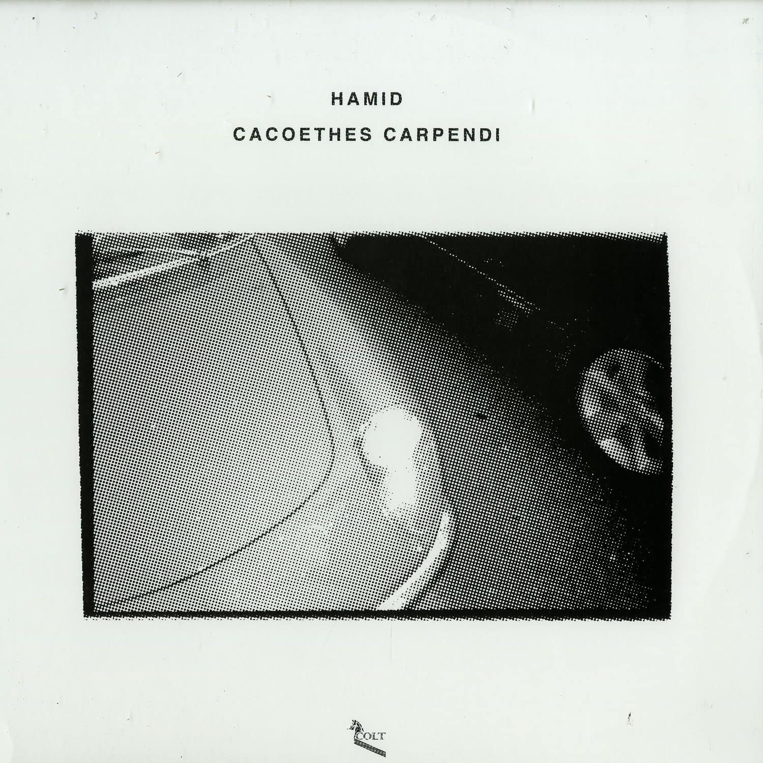 Hamid - CACOETHES CARPENDI