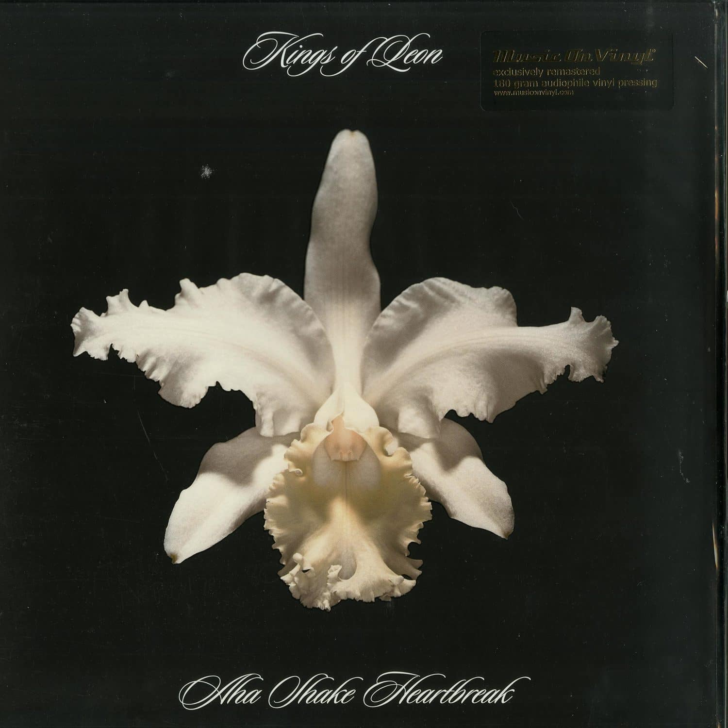 Kings Of Leon - AHA SHAKE HEARTBREAK 