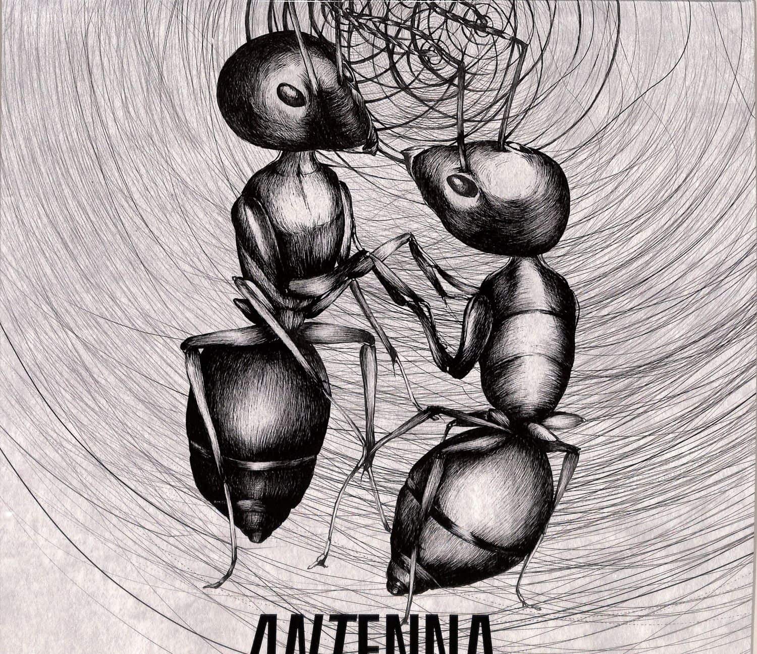 Various Artists - ANTENNA