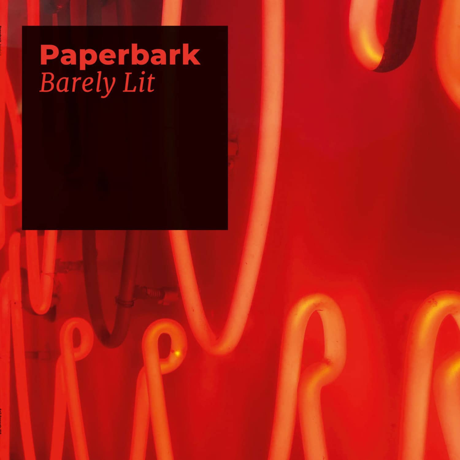 Paperbark - BARELY LIT