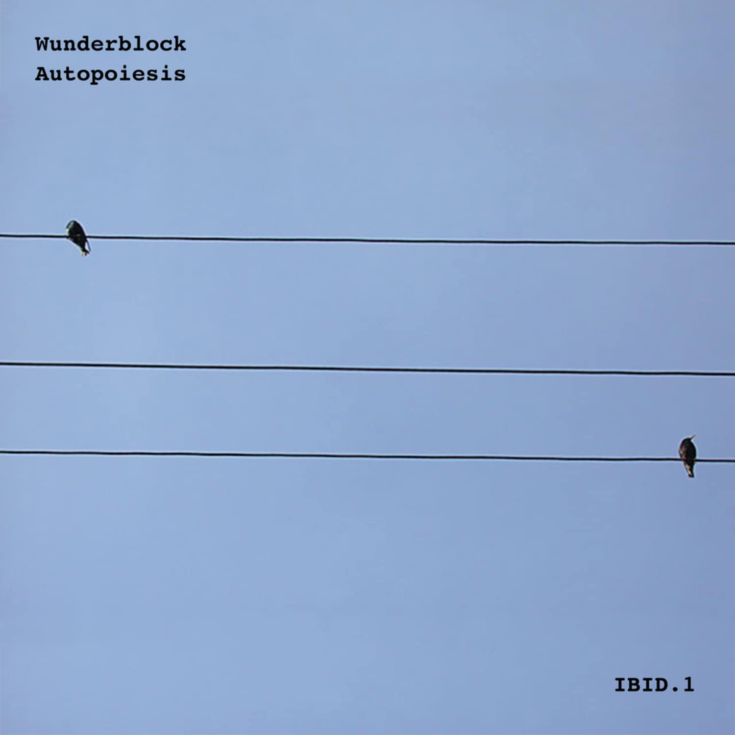 Wunderblock - AUTOPOIESIS 