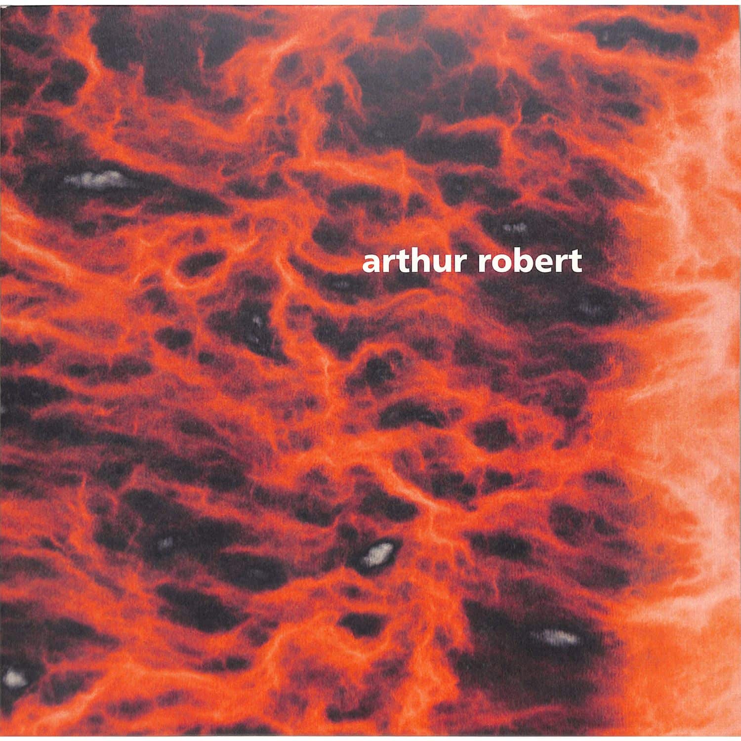 Arthur Robert - METAMORPHOSIS PART 2
