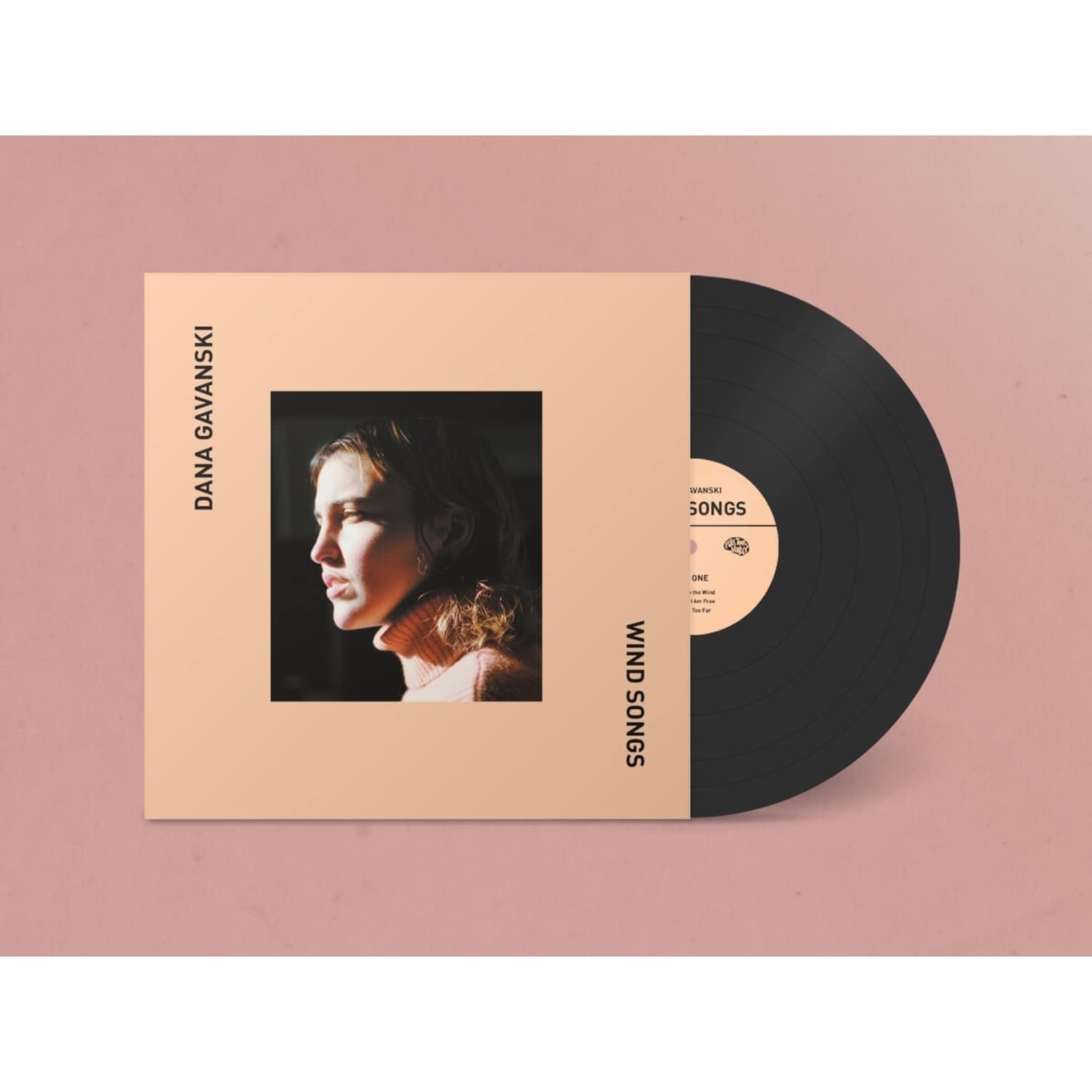 Dana Gavanski - WIND SONGS 