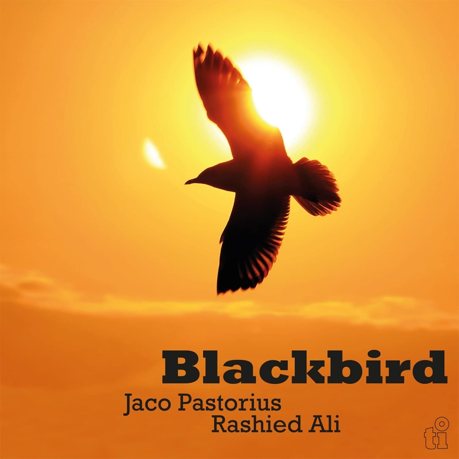  Jaco Pastorius & Rashied Ali - BLACKBIRD 