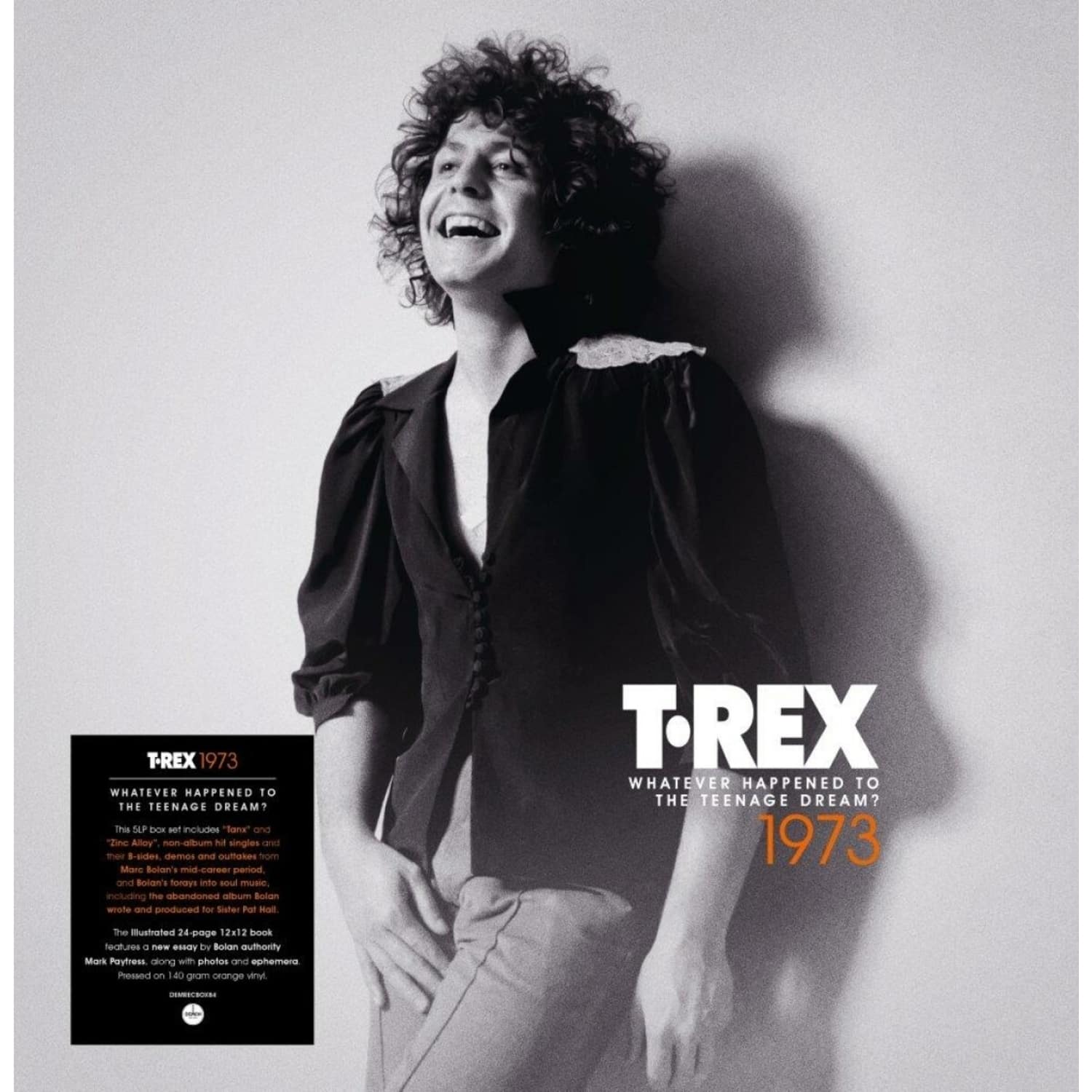T.Rex - 1973: WHATEVER HAPPENED TO THE TEENAGE DREAM? 