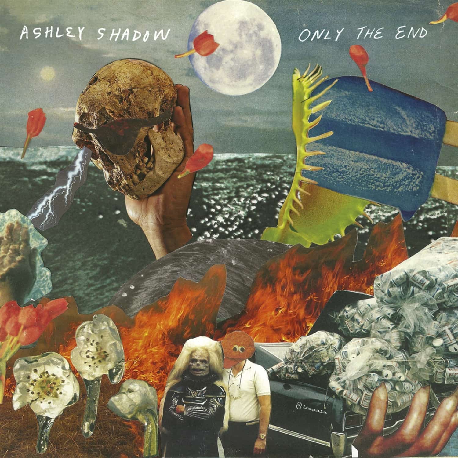 Ashley Shadow - ONLY THE END 