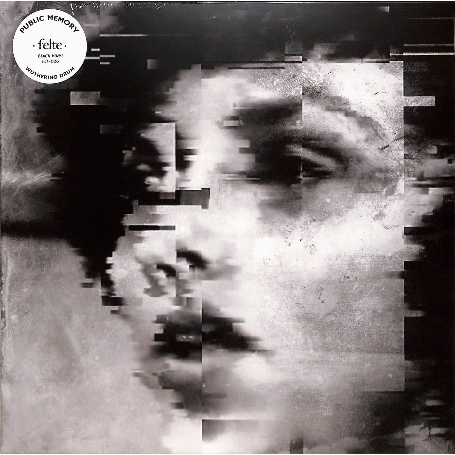 Public Memory - WUTHERING DRUM 