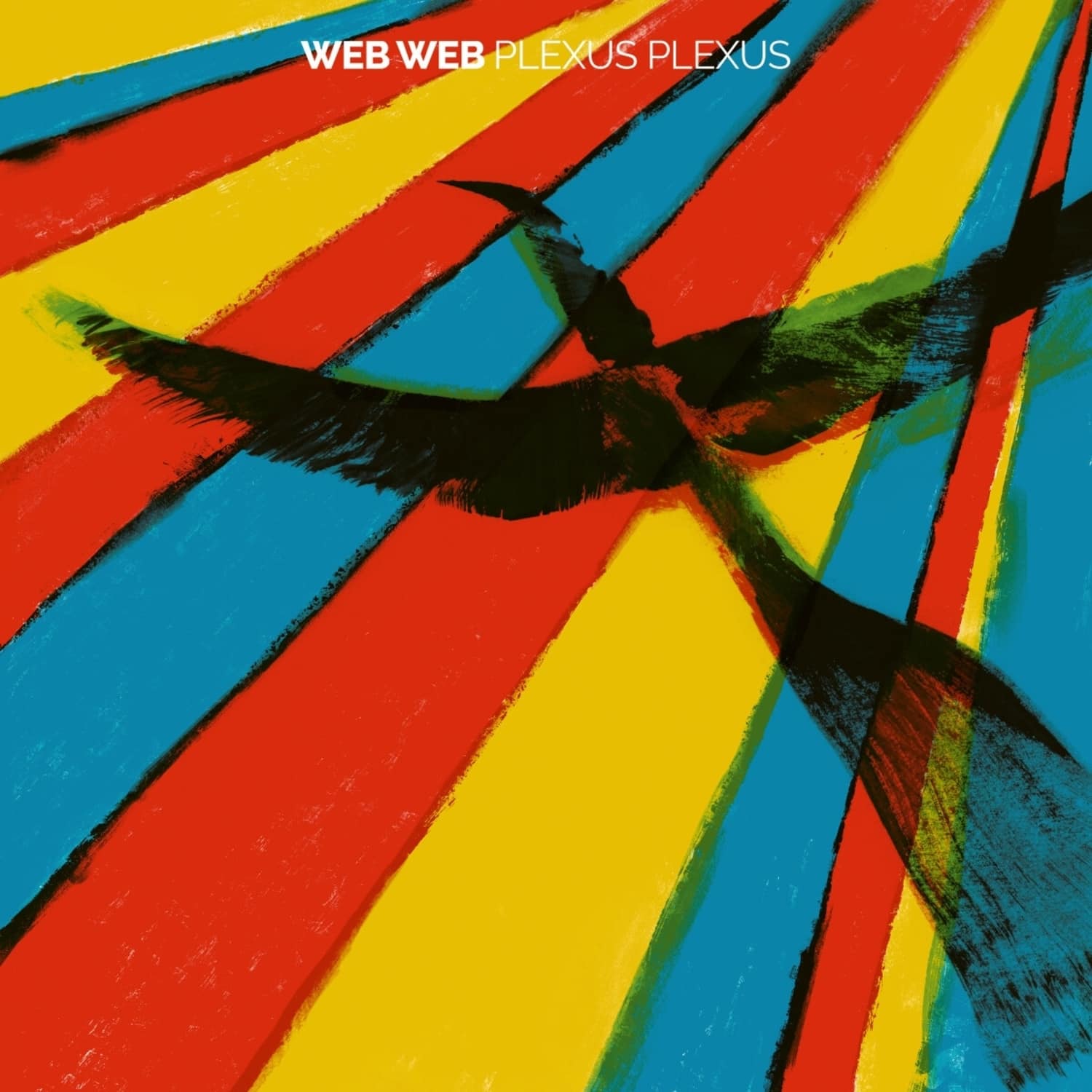 Web Web - PLEXUS PLEXUS 