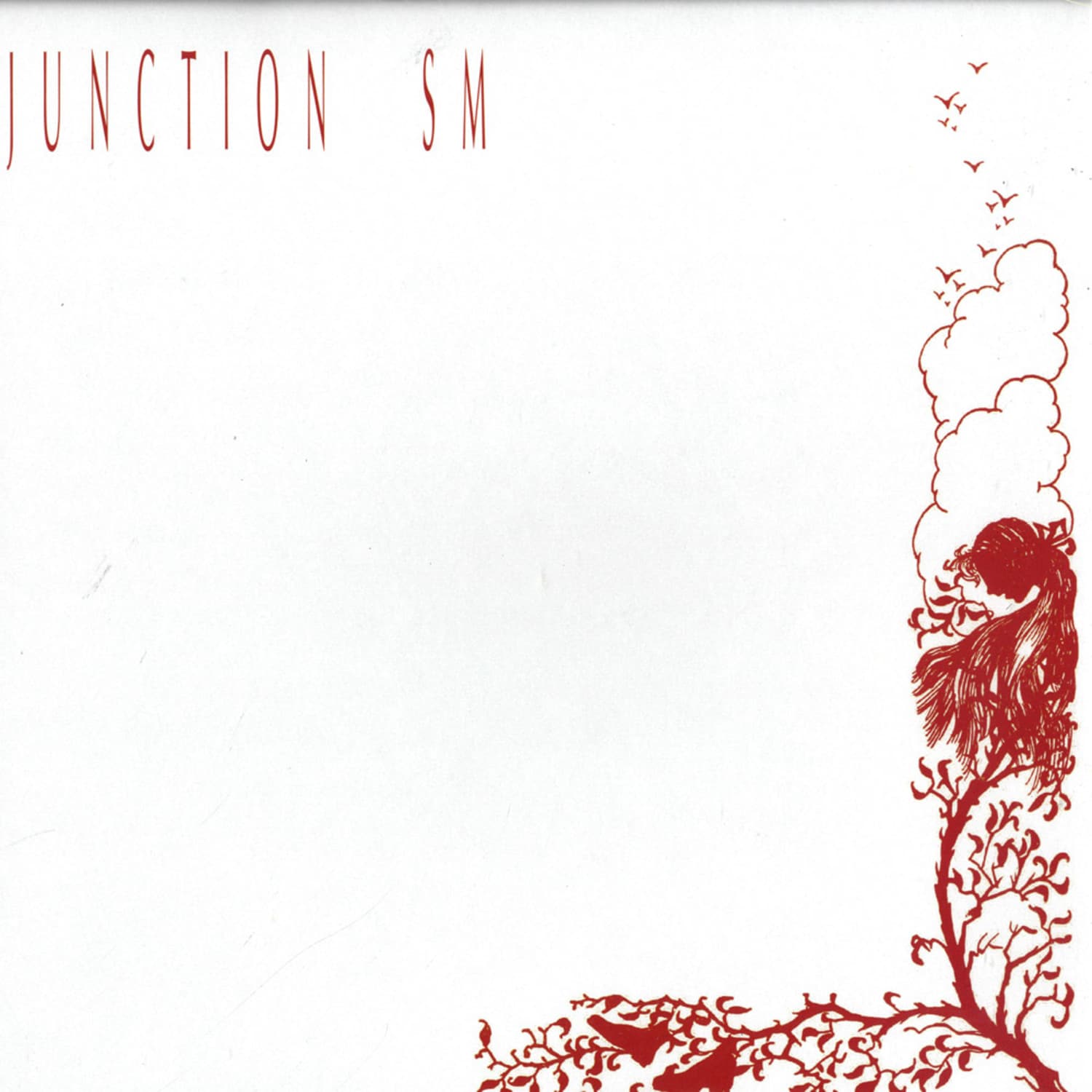 Junction SM - S/T