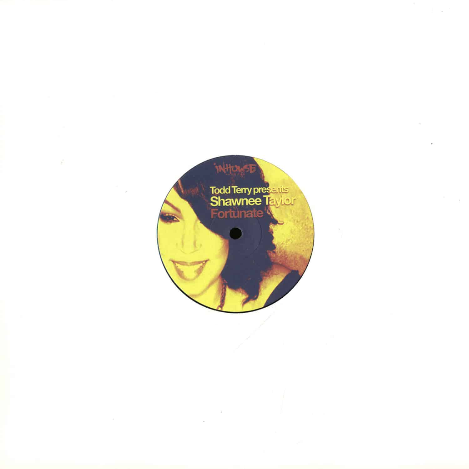 Todd Terry Pres Shawnee Taylor - FORTUNATE