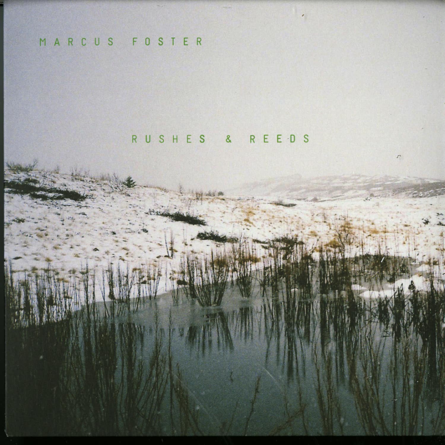 Marcus Foster - RUSHES & REEDS 