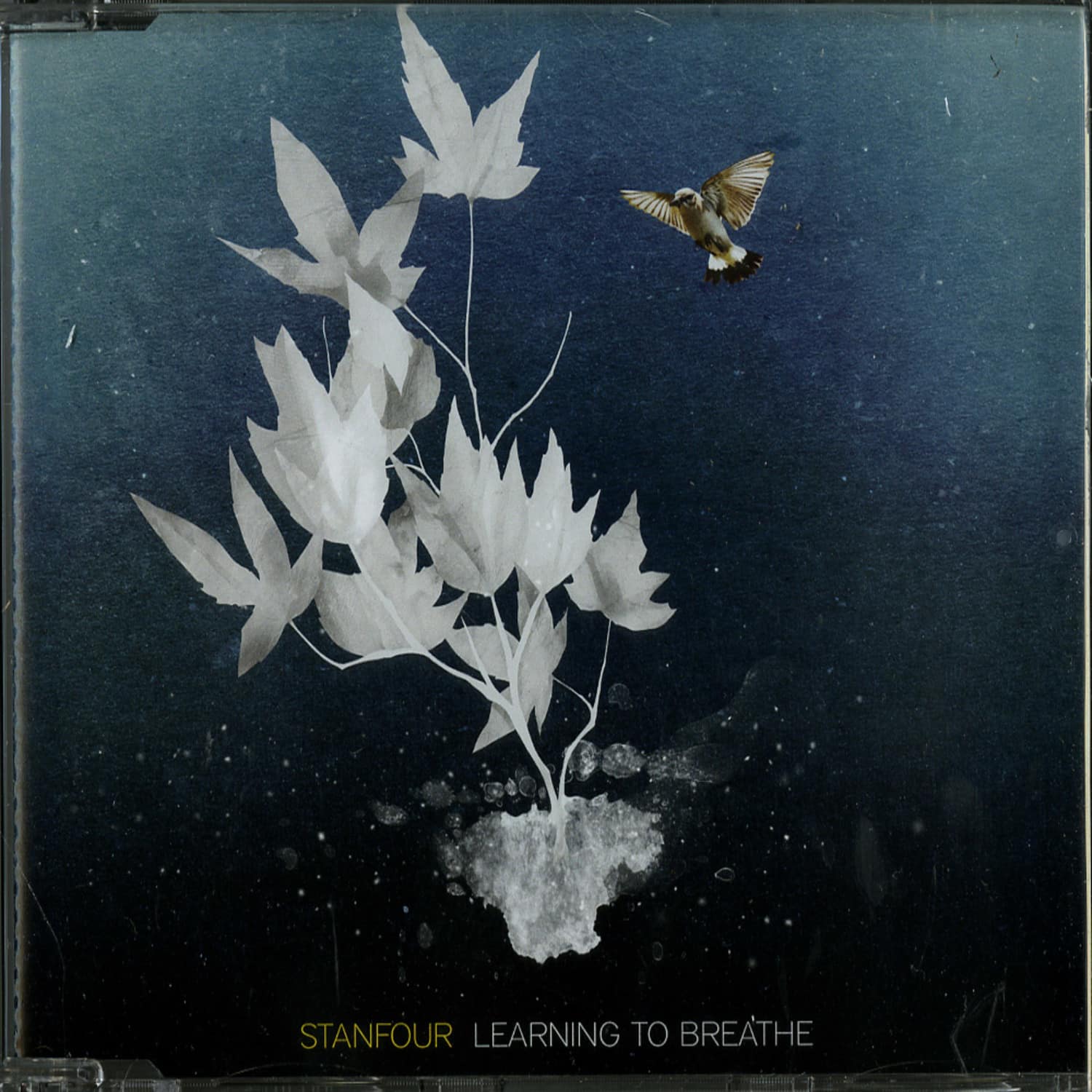 Stanfour - LEARNING TO BREATHE 