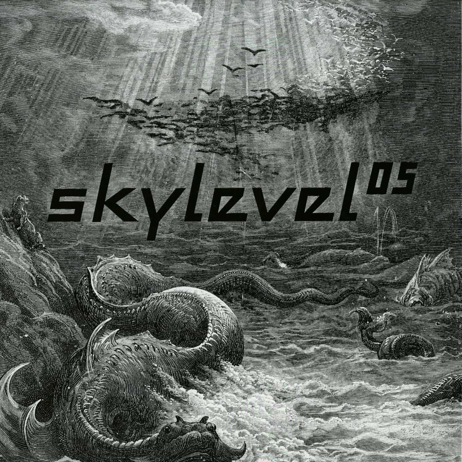 Skylevel - SKYLEVEL 05