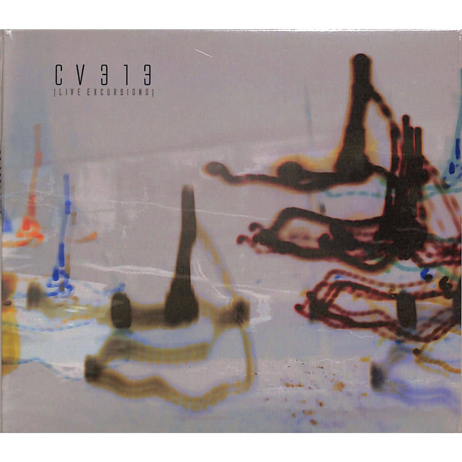 CV313 - LIVE EXCURSIONS 