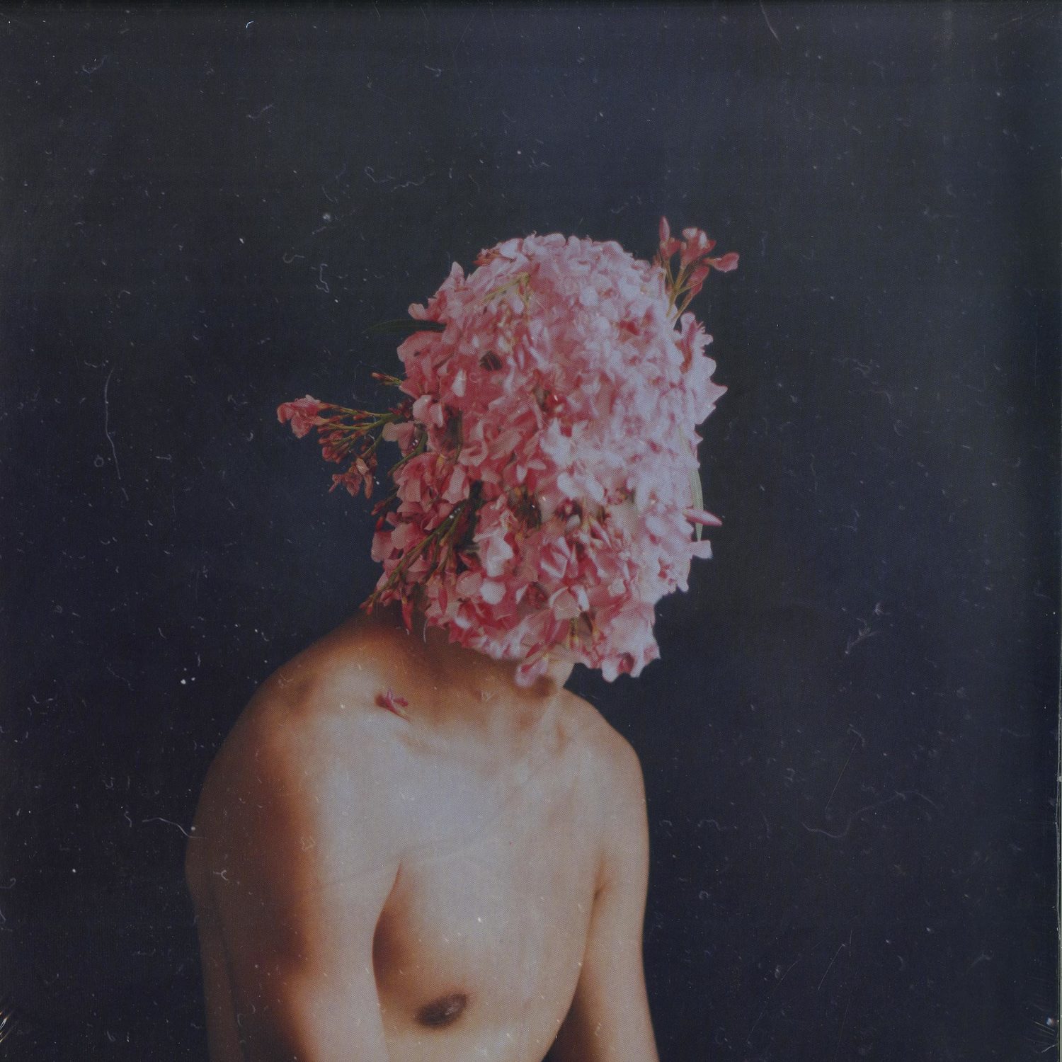 Lake People - PHASE TRANSITION