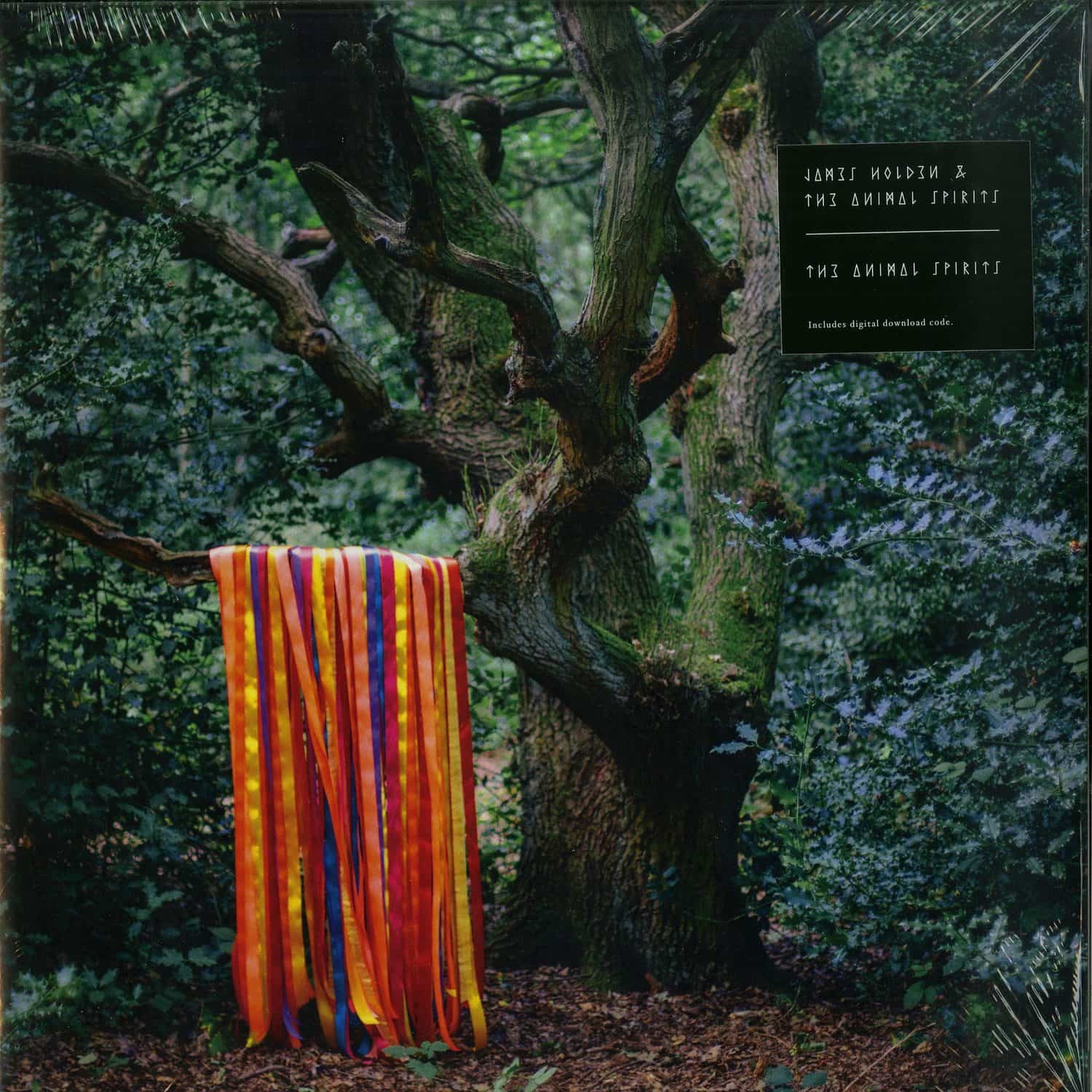 James Holden & The Animal Spirits - THE ANIMAL SPIRITS 