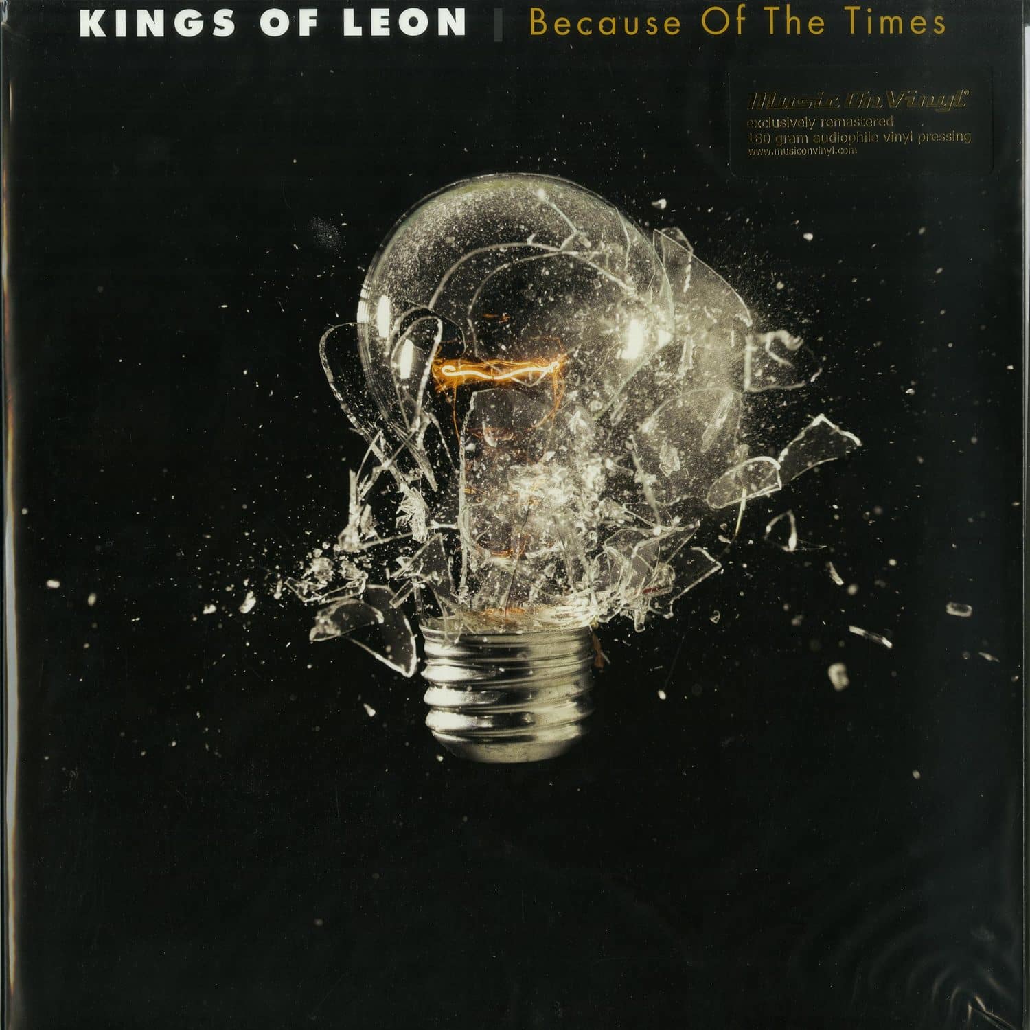 Kings Of Leon - BECAUSE OF THE TIMES 