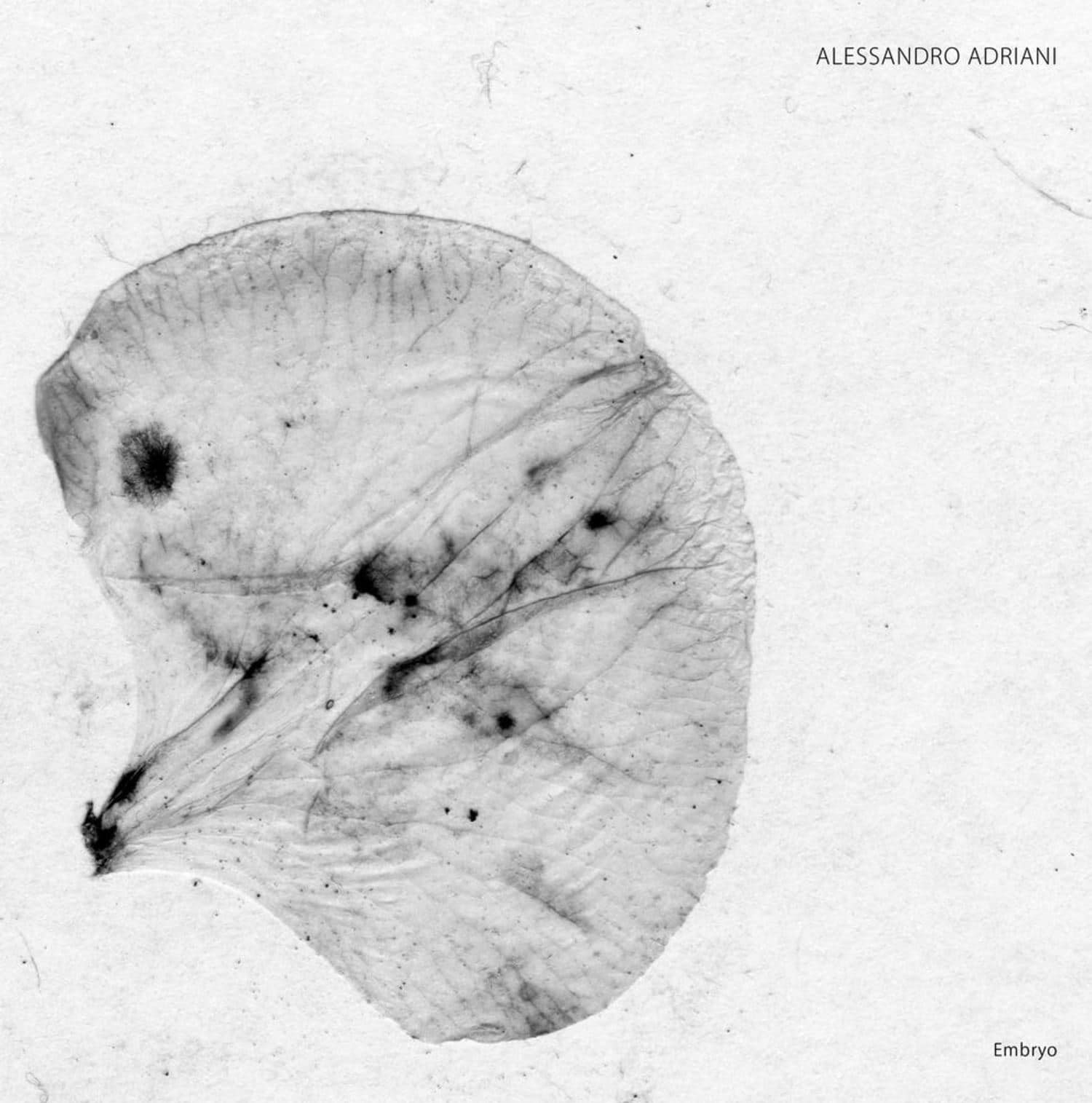 Alessandro Adriani - EMBRYO
