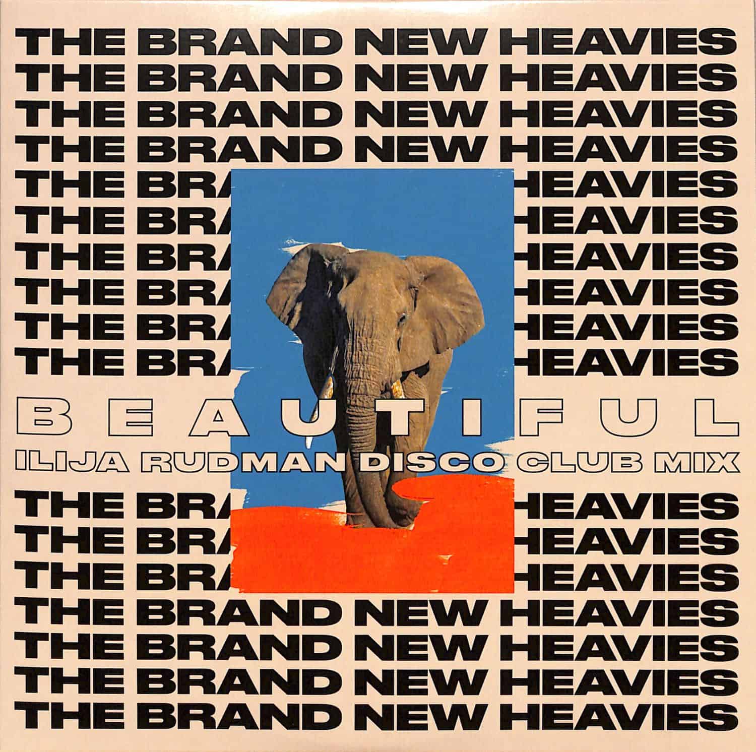The Brand New Heavies - TBNH 