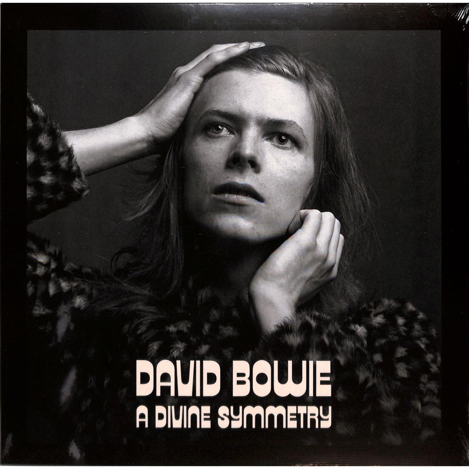 David Bowie - A DIVINE SYMMETRY