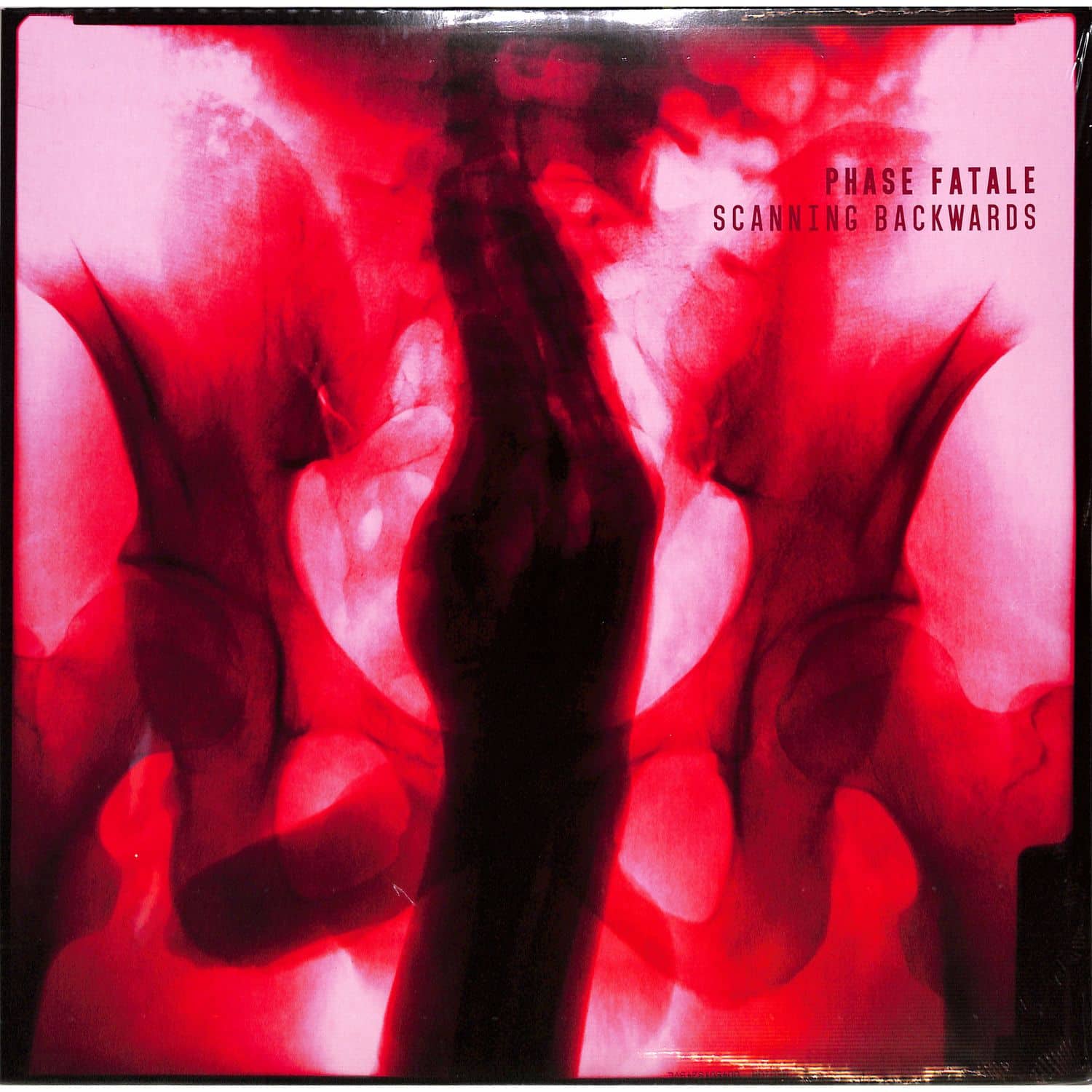 Phase Fatale - SCANNING BACKWARDS 