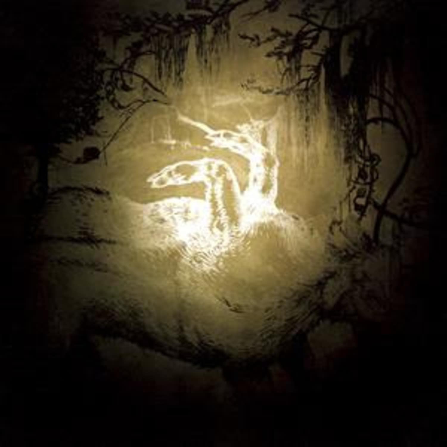 Polar Bear - HELD ON THE TIPS OF FINGERS 
