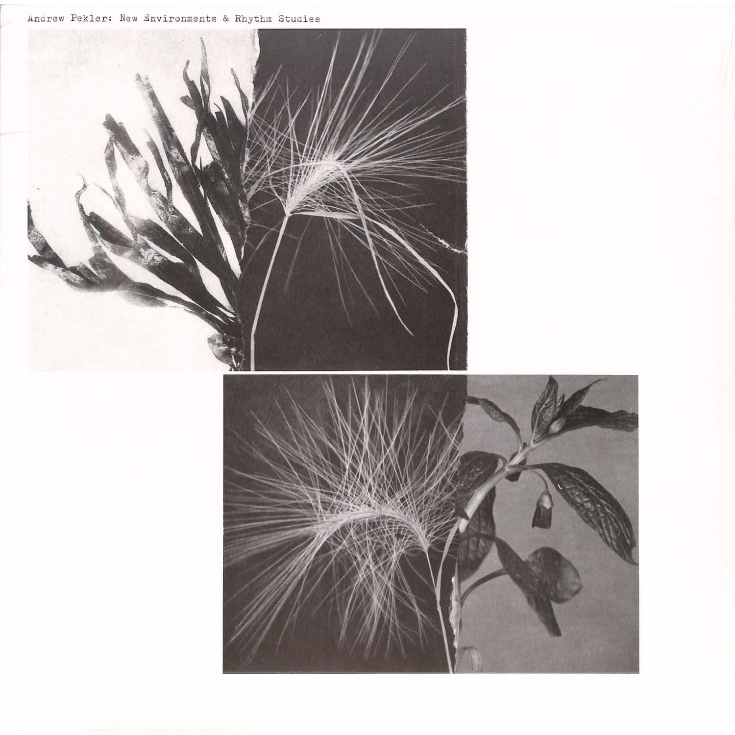 Andrew Pekler - NEW ENVIRONMENTS & RHYTHM STUDIES 