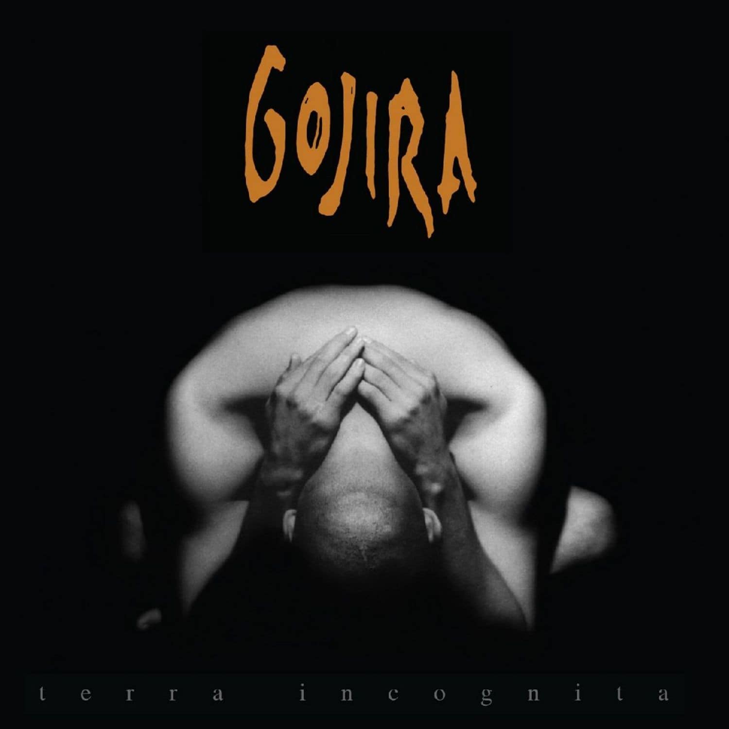 Gojira - TERRA INCOGNITA 