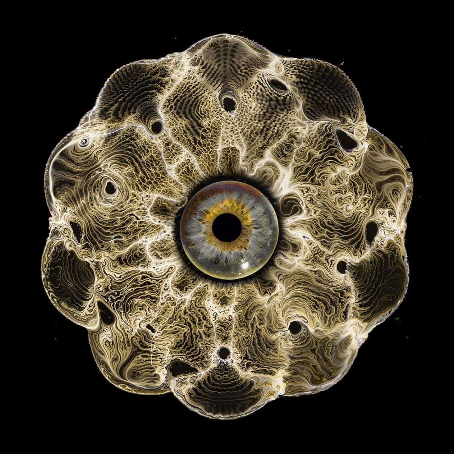 Oleg Makovskiy - INWARD CURRENTS EP