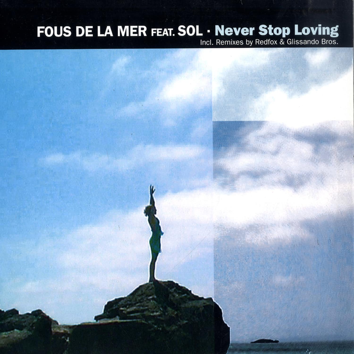 Fous De La Mer feat. Sol - NEVER STOP LOVING