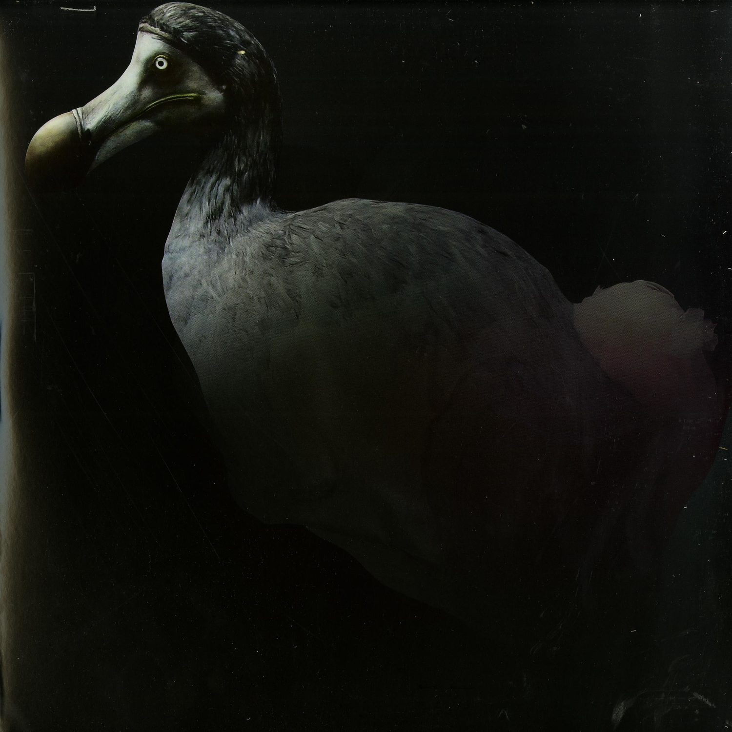 Our Loving Sun - TO DISAPPEAR