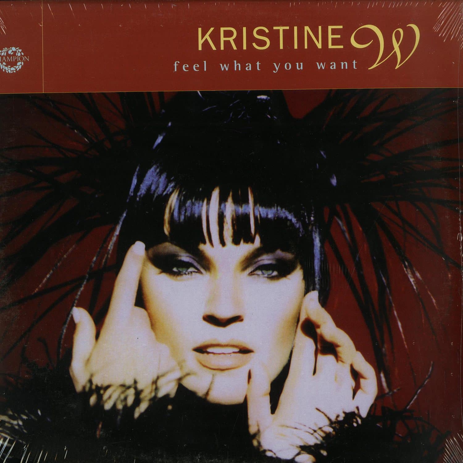 Kristine W - FEEL WHAT YOU WANT 