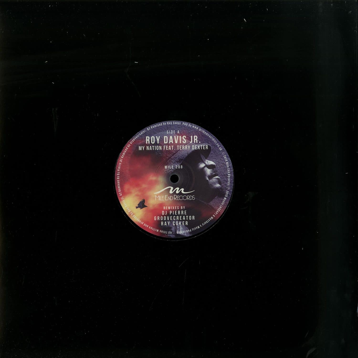 Roy Davis Jr. feat Terry Dexter - MY NATION