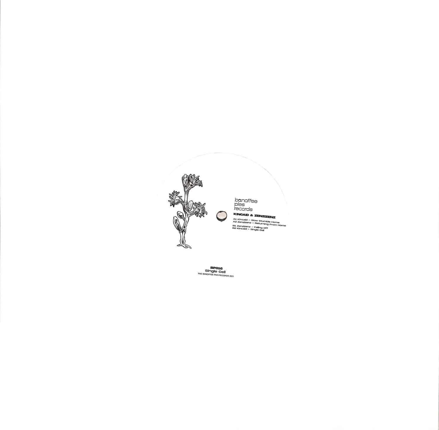Kincaid & Zenzizenz - SINGLE CELL