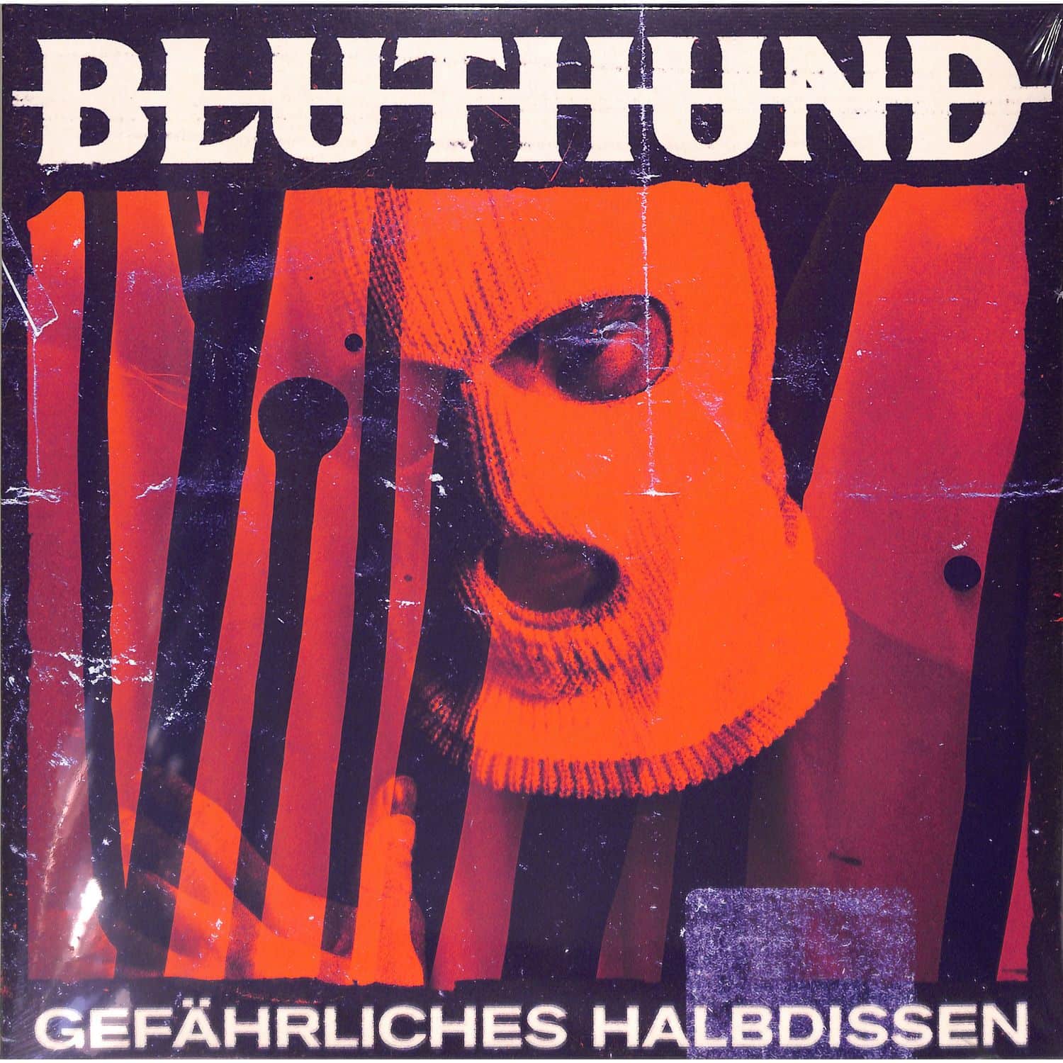 Bluthund - GEFAEHRLICHES HALBDISSEN 