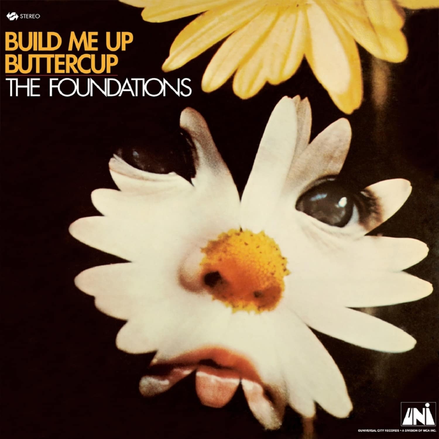 Foundations - BUILD ME UP BUTTERCUP 