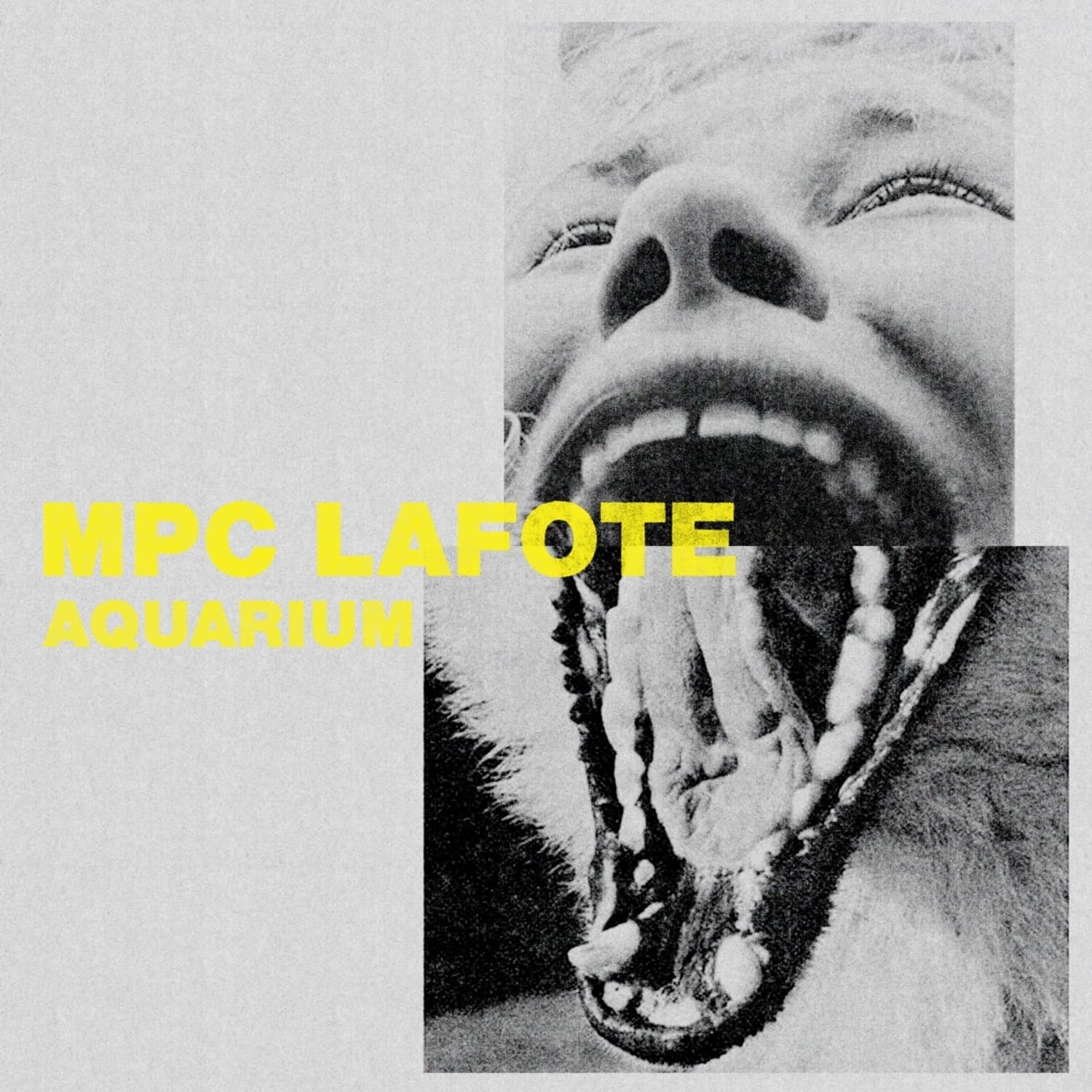 MPC Lafote - AQUARIUM 