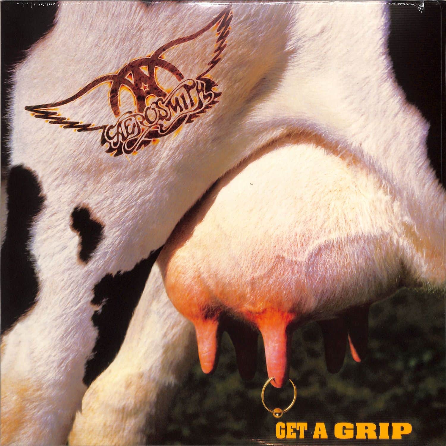 Aerosmith - GET A GRIP 