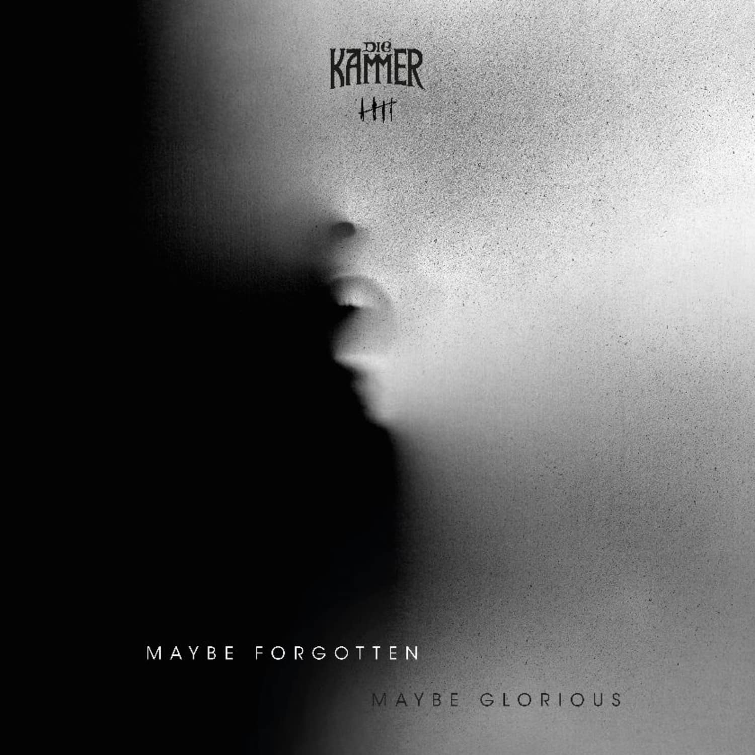 Die Kammer - SEASON V - MAYBE FORGOTTEN. MAYBE GLORIOUS 