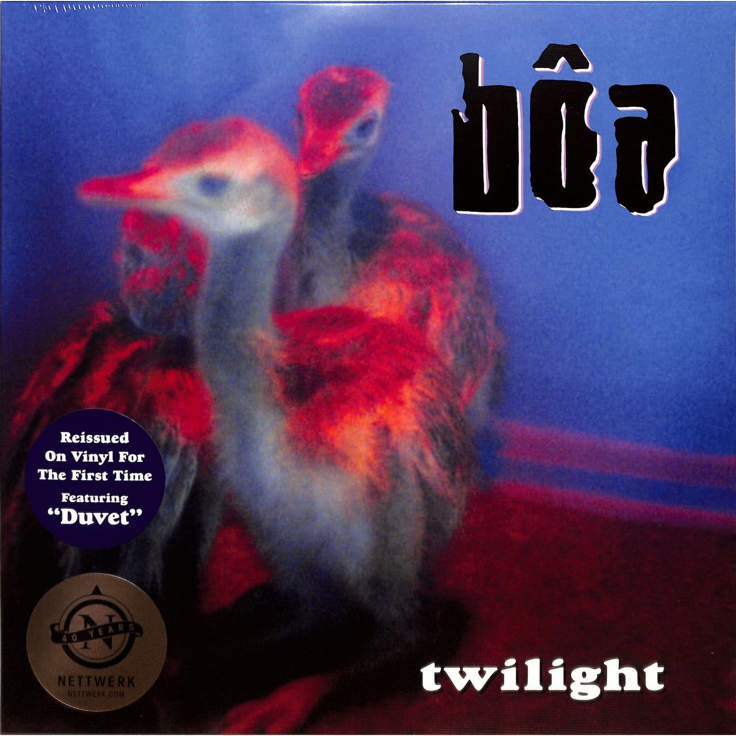 Boa - TWILIGHT 