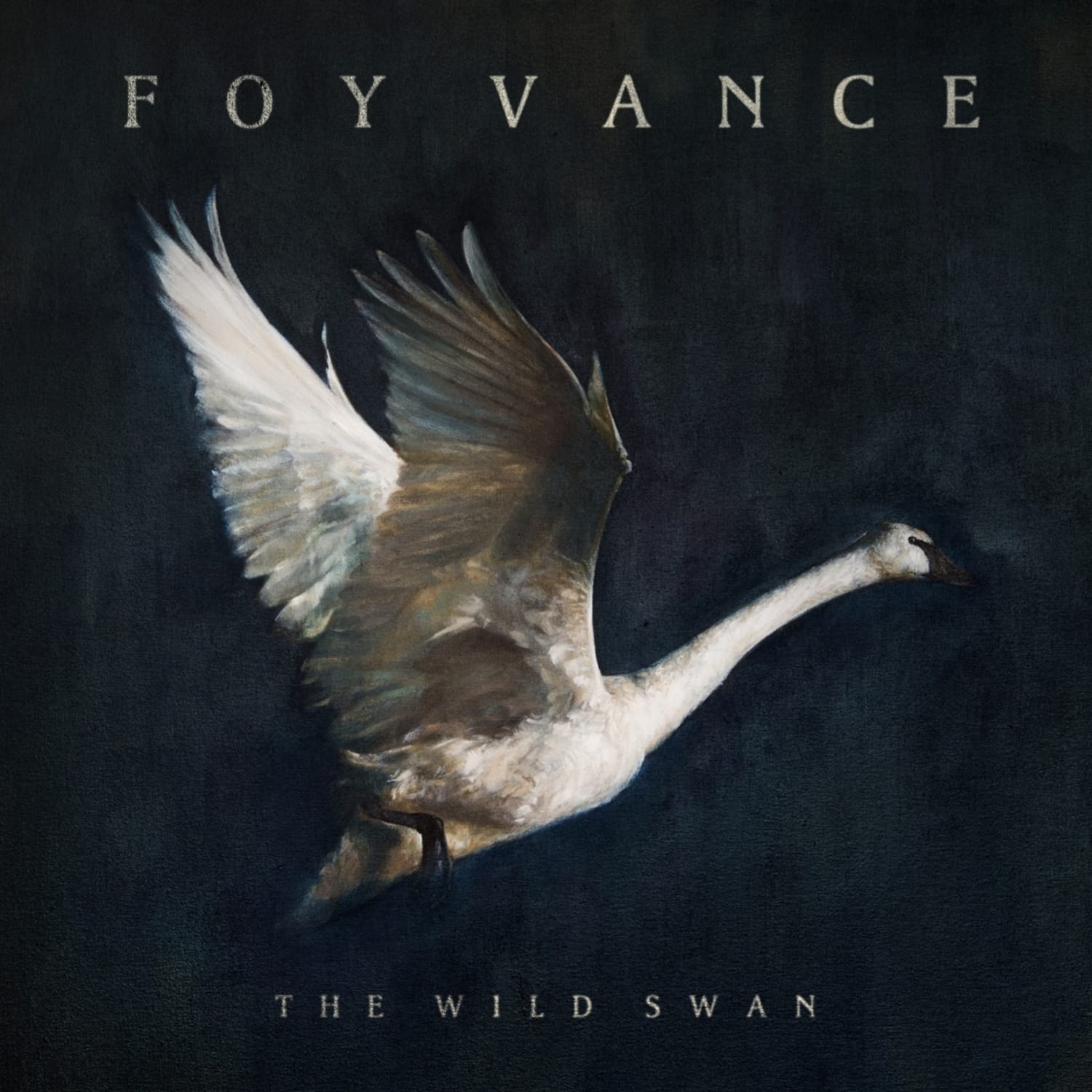 Foy Vance - THE WILD SWAN 