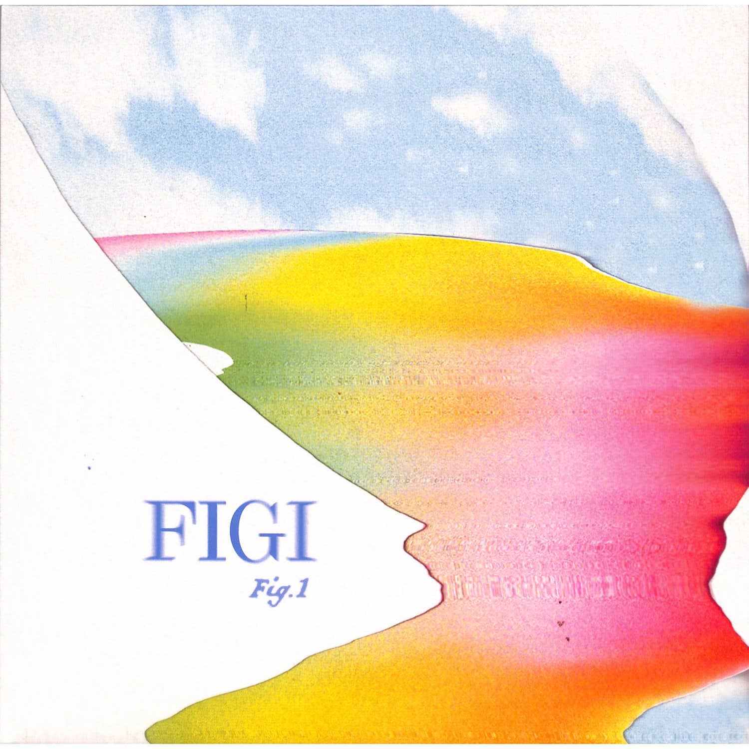 Figi - FIG 1 